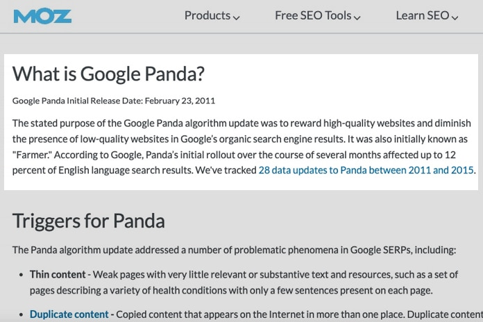 What is Google Panda